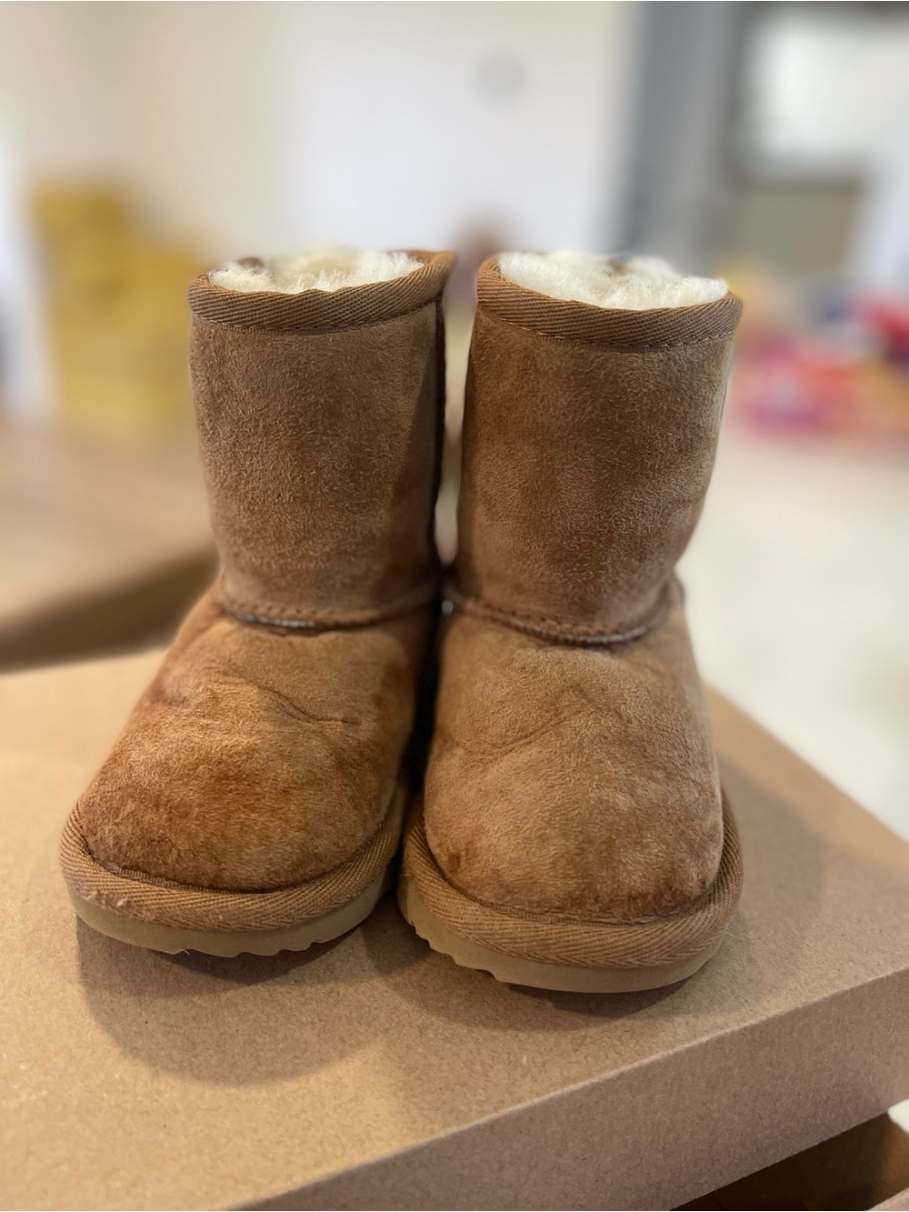 UGG T6 Classic II- Chestnut Suede Shearling with Cushioned Outsole